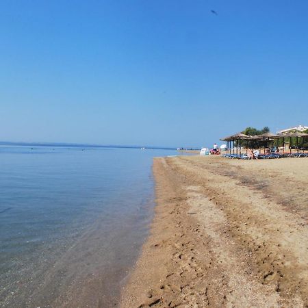 Captain'S Villa Appartments Ψακούδια Εξωτερικό φωτογραφία