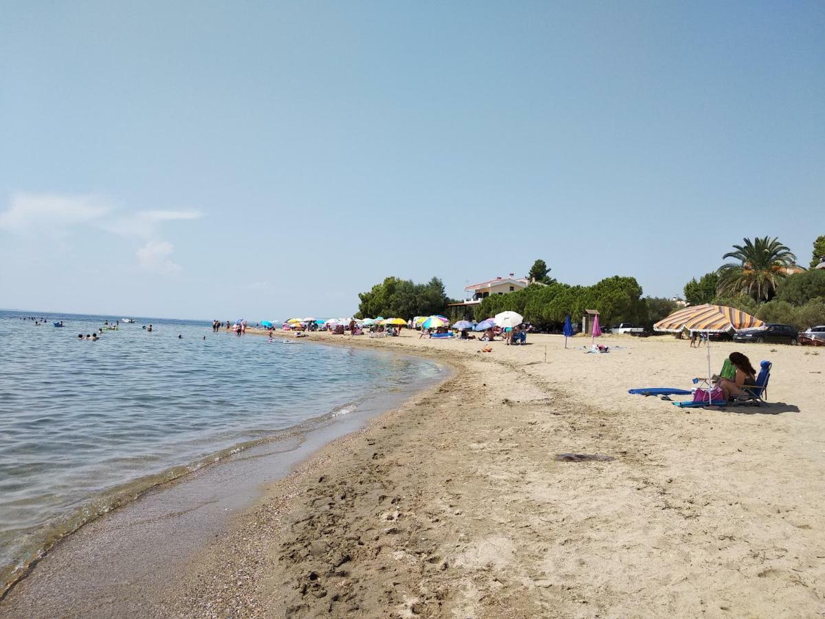 Captain'S Villa Appartments Ψακούδια Εξωτερικό φωτογραφία
