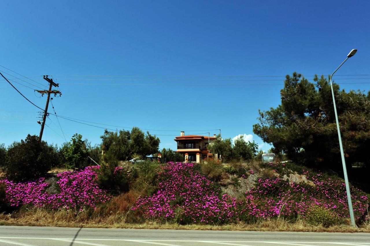 Captain'S Villa Appartments Ψακούδια Εξωτερικό φωτογραφία